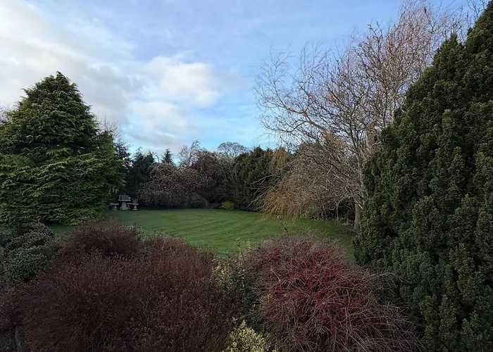 The Lodge- * Balrath