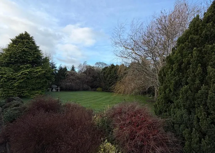 דירה The Lodge- *